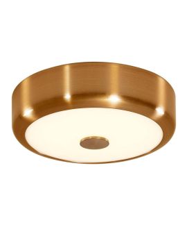 Потолочный светодиодный светильник Citilux Фостер-1 CL706112