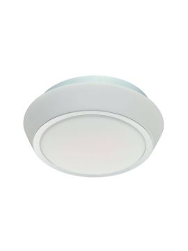 Потолочный светильник ST Luce Bagno SL496.502.01