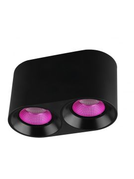 Накладной светильник Denkirs DK3096-BK+PI