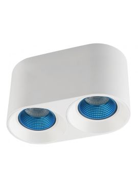 Накладной светильник Denkirs DK3096-WH+CY