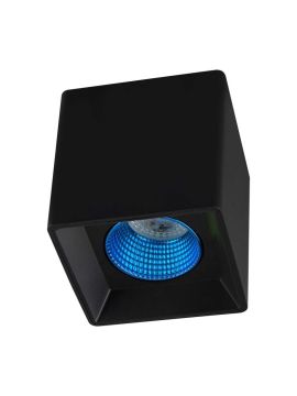 Накладной светильник Denkirs DK3080-BK+CY