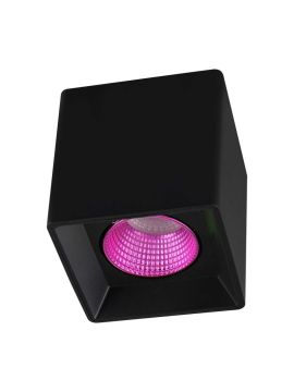 Накладной светильник Denkirs DK3080-BK+PI