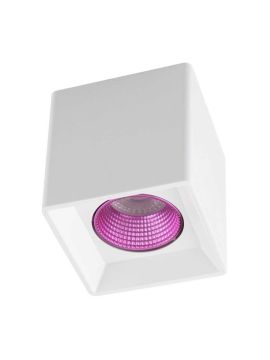 Накладной светильник Denkirs DK3080-WH+PI