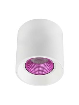 Накладной светильник Denkirs DK3090-WH+PI