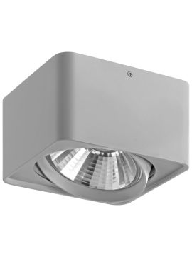 Потолочный светильник Lightstar Monocco 212619