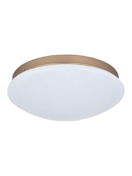 Потолочный светодиодный светильник F-Promo Ledante 2466-2C