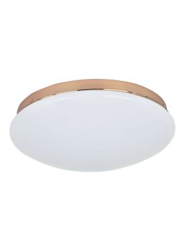 Потолочный светодиодный светильник F-Promo Ledante 2465-2C