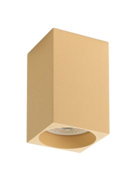 Потолочный светильник Denkirs DK2009-CO