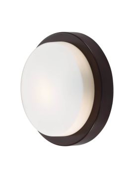 Потолочный светильник Odeon Light Holger 2744/1C