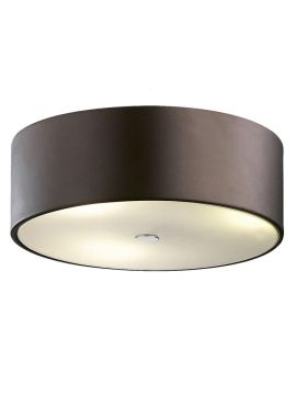 Потолочный светильник Odeon Light Salar 2047/3C