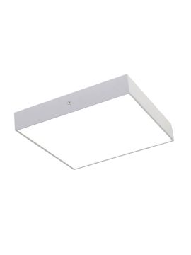 Потолочный светодиодный светильник Favourite Flashled 2066-30C