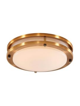 Потолочный светодиодный светильник Citilux Бостон CL709153