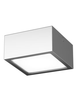 Потолочный светодиодный светильник Lightstar Zolla 211924