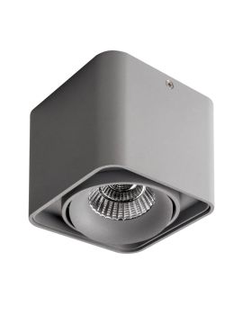 Потолочный светодиодный светильник Lightstar Monocco 052319