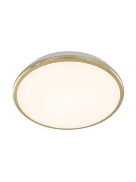 Потолочный светодиодный светильник Citilux Луна CL702222W