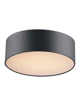 Потолочный светильник Favourite Cerchi 1514-2C1