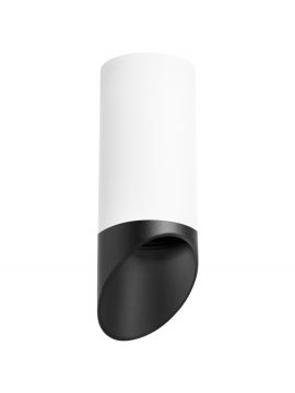 Накладной светильник Lightstar RULLO R648687 (216486+201487)