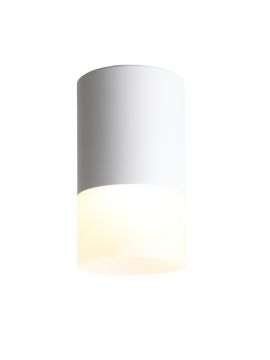 Накладной светильник ST Luce ST100.502.05