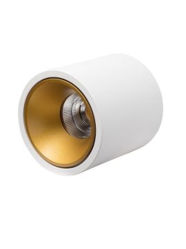 Влагозащищенный светильник LeDron RINBOK White/Gold 00000017856