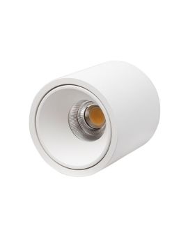 Влагозащищенный светильник LeDron RINBOK White 00000013783