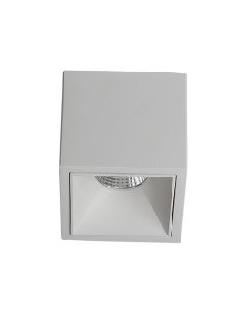 Влагозащищенный светильник LeDron SLC78001/18W-W 00000013636