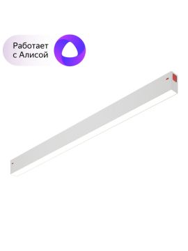 Трековый светильник Denkirs Smart DK8005-WH