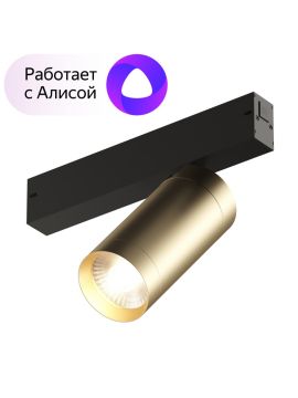 Трековый светильник Denkirs Smart Spot DK8020-BG