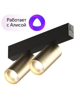 Трековый светильник Denkirs Smart DK8012-BG