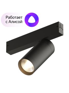 Трековый светильник Denkirs Smart DK8020-BK