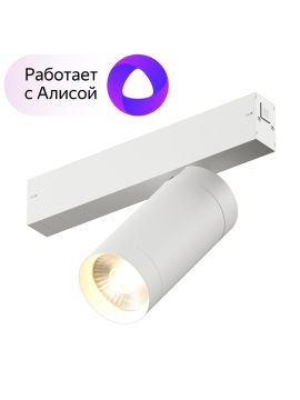 Трековый светильник Denkirs DK8020-WH
