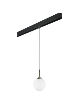 Трековый светильник Lightstar Globo PRO813021 (813021+595007)