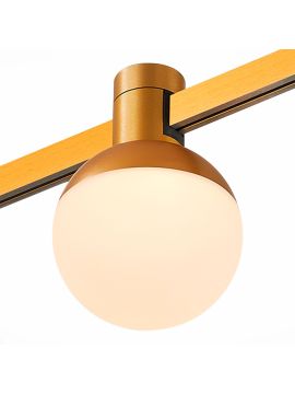 Трековый магнитный светильник ST Luce Farm ST815.206.05