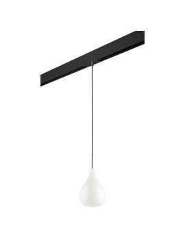 Трековый светильник Lightstar Pentola PRO803030 (803030+595007)