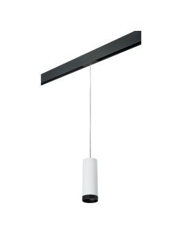 Трековый светильник Lightstar Rullo PRORP4863437 (214486+595857+203437)