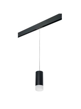 Трековый светильник Lightstar Rullo PRORP648781 (216487+595887+202481)