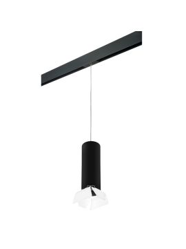 Трековый светильник Lightstar Rullo PRORP6497486 (216497+595887+202486)