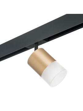 Трековый однофазный светильник Lightstar Rullo (213490+595087+202481) PRO349081