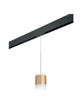 Трековый однофазный светильник Lightstar Rullo (213490+595887+202480) PRORP349080