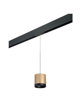 Трековый однофазный светильник Lightstar Rullo (213490+595887+203487) PRORP34903487