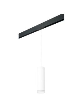 Трековый светильник Lightstar Rullo PRORP649680 (216496+595887+202480)