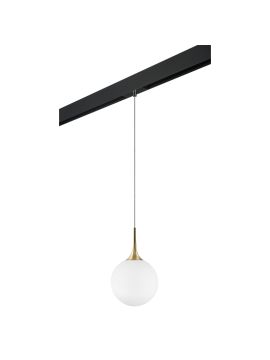 Трековый светильник Lightstar Globo PRO813032 (813032+595007)