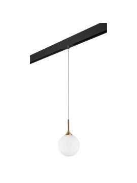 Трековый светильник Lightstar Globo PRO813022 (813022+595007)