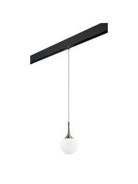 Трековый светильник Lightstar Globo PRO813011 (813011+595007)