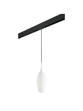 Трековый светильник Lightstar Pentola PRO803020 (803020+595007)